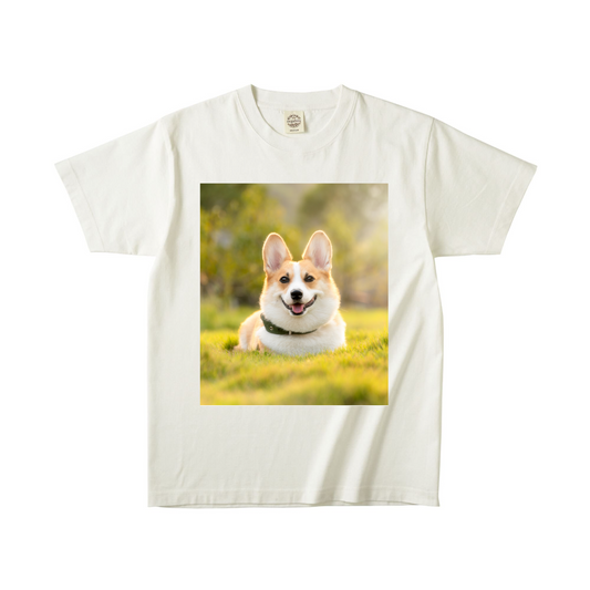 ナチュラルオーガニック半袖Tシャツ XLサイズ