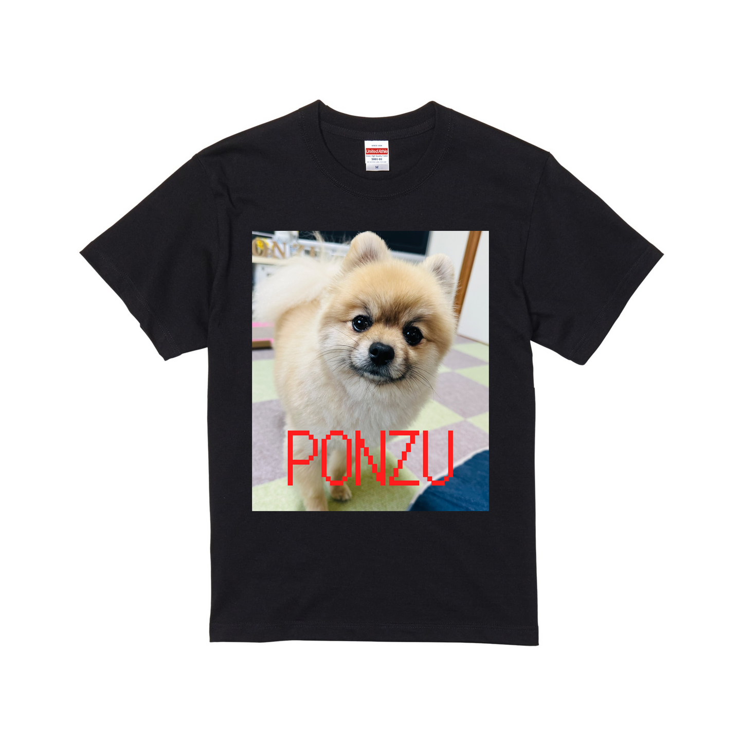 スタンダード半袖Tシャツ ブラック
Mサイズ PONZU